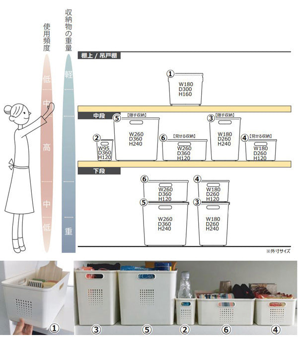 キッチン収納ケース シューノ L ハーフ 幅26cm 奥行36cm 高さ12cm -7