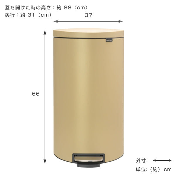 ゴミ箱 ブラバンシア brabantia フラットバック 30リットル ペダル式 ふた付き