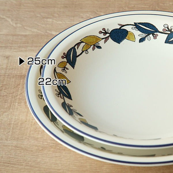   陶磁器皿 直径約25cm プレート 25cm ラッシュ LUSH 皿 食器 洋食器 硬質陶器 – ハウジー