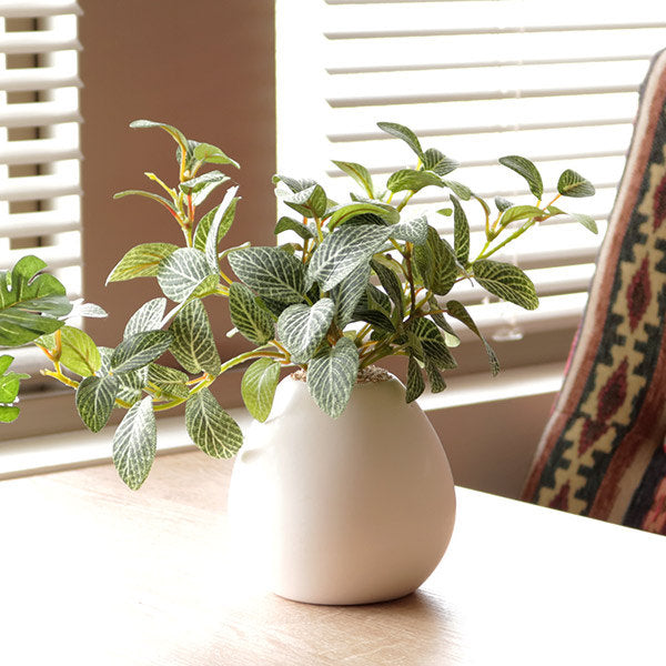 人工観葉植物 フィットニア 18cm フェイクグリーン 造花 光触媒 – ハウジー