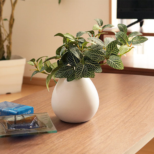 人工観葉植物 フィットニア 18cm フェイクグリーン 造花 光触媒 – ハウジー