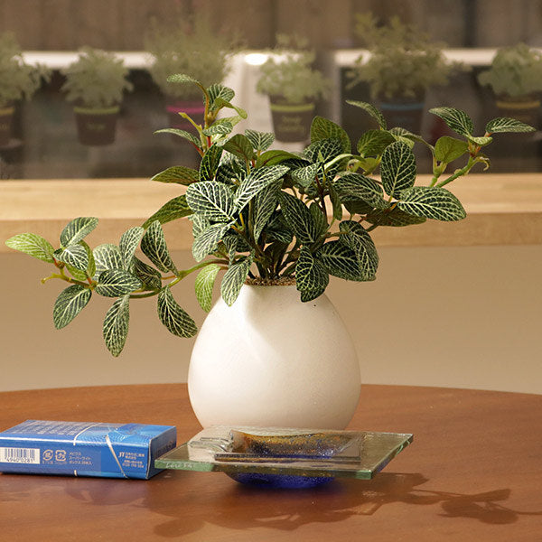 人工観葉植物 フィットニア 18cm フェイクグリーン 造花 光触媒