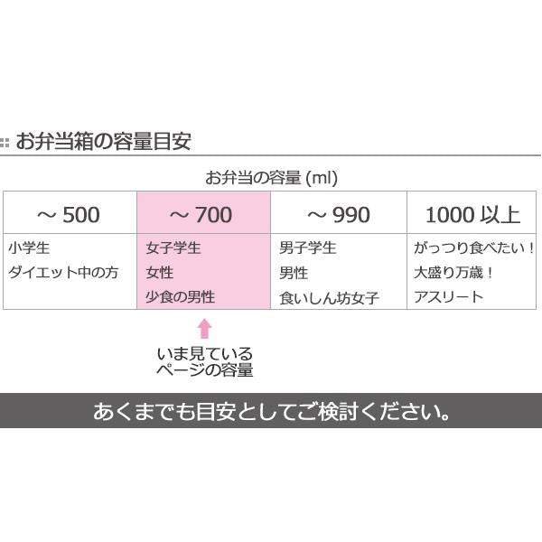 お弁当箱1段2点ロックラク軽弁当箱Ｍムーミン550mlランチボックス