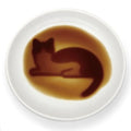 醤油皿 9cm ネコ 皿 食器 和食器 磁器 ねこ 猫