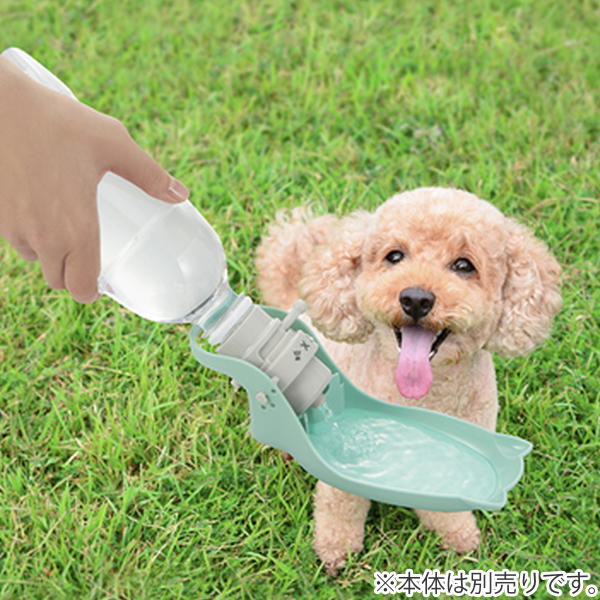 347291_2.jpg?v=1638417761&