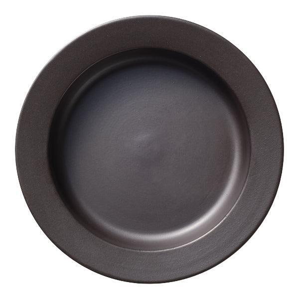 レンジで発熱する皿 20cm マジカリーノ 直火 電子レンジ オーブン 陶器