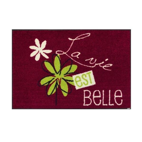 玄関マット 50×75cm 厚さ 6mm 屋内兼用 wash＋dry A La vie est belle