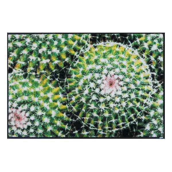 玄関マット 50×75cm 厚さ 6mm 屋内兼用 wash＋dry Spiny Green