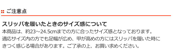 ルームシューズ 23～24.5cm スリッパ レディース ヌーベル -10