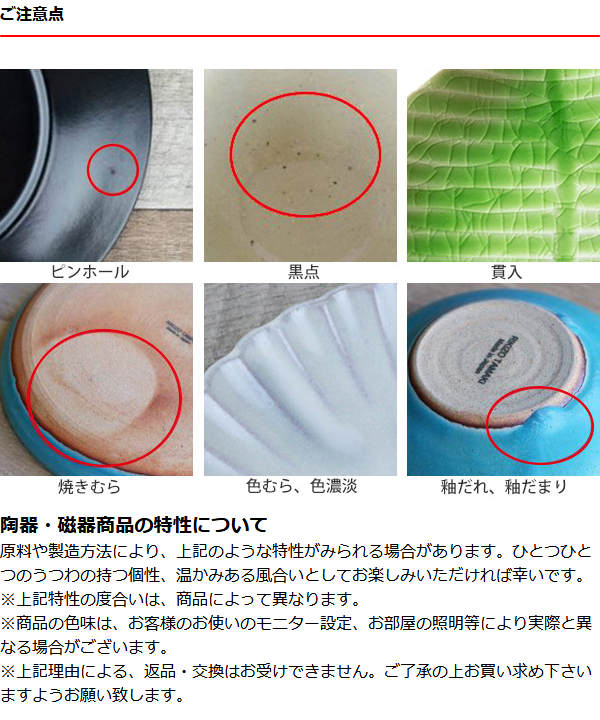 ボウル 24ｃｍ オーバルボウル Saveur サヴール 皿 食器 洋食器 陶器 日本製