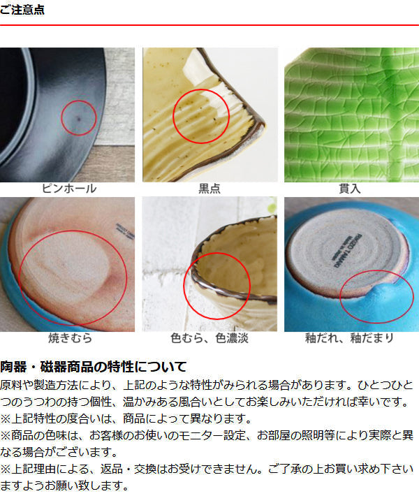 カレー＆パスタ皿 26cm COTON 皿 食器 洋食器 磁器 日本製