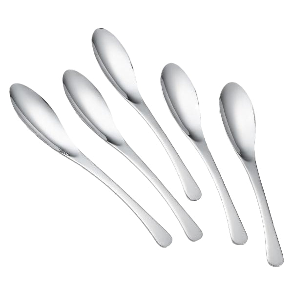カレースプーン 5本入り スリムで食べやすい スプーン ステンレス 日本製