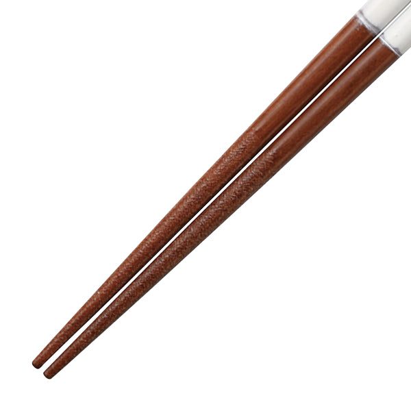 箸 子供用 18cm パステルハーフライン 食洗機対応 すべり止め 木製 天然木 漆 日本製