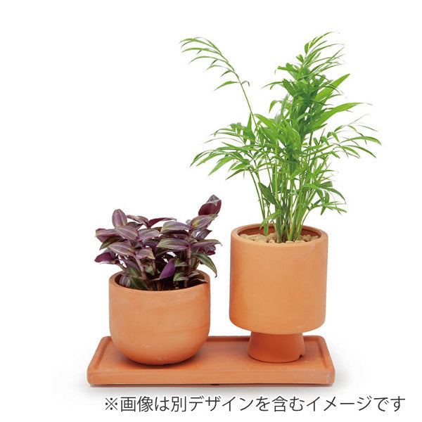 セールスプロモーション プランター✳︎ソーサー植木鉢テラコッタ