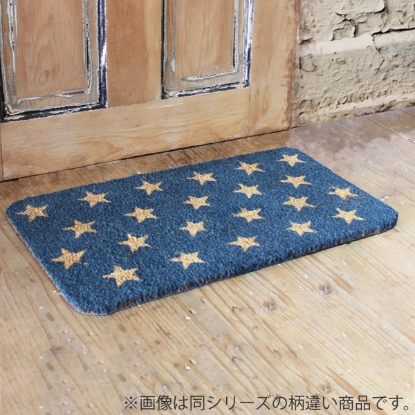 玄関マット 33.5×60cm 厚さ 2cm 屋外兼用 ブルーライン