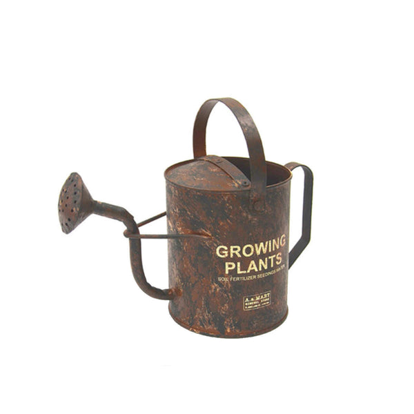 ジョーロ 水差し ガーデニング シャビージョウロ S サビ加工