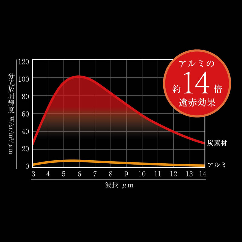 大人の焼魚 炭グリル