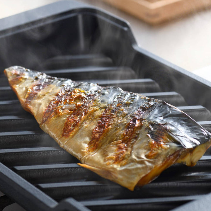 大人の焼魚炭グリル