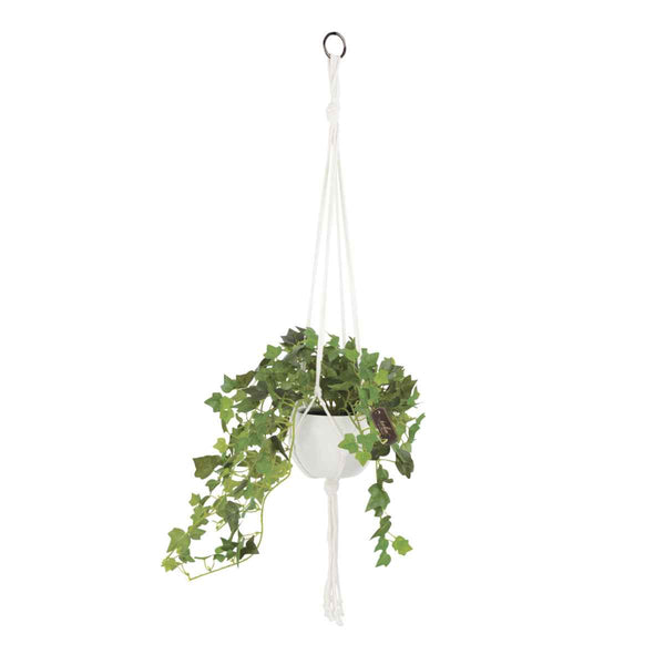フェイクグリーン アイビー エクリア ハンギング