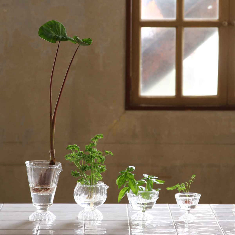 花瓶 リボベジ ガラス カップ Sサイズ -12