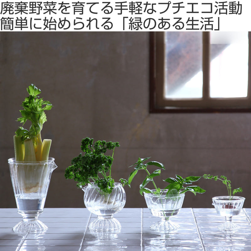 花瓶 リボベジ ガラス カップ Sサイズ -3