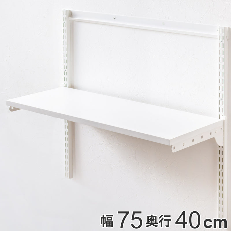 壁面収納 棚 幅75cm×奥行40cm TSセット フィットラック