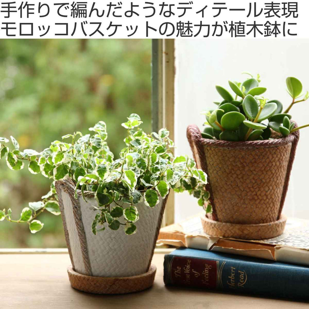 発送 手作り 植木鉢 Lサイズ - フラワー・ガーデニング