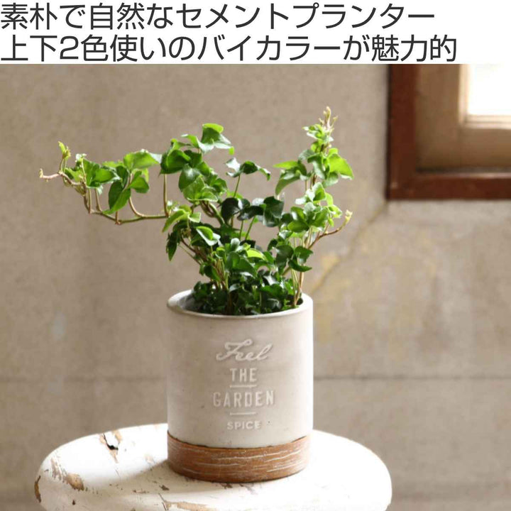 植木鉢 FEEL THE GARDEN セメントプランター ラウンド S -3