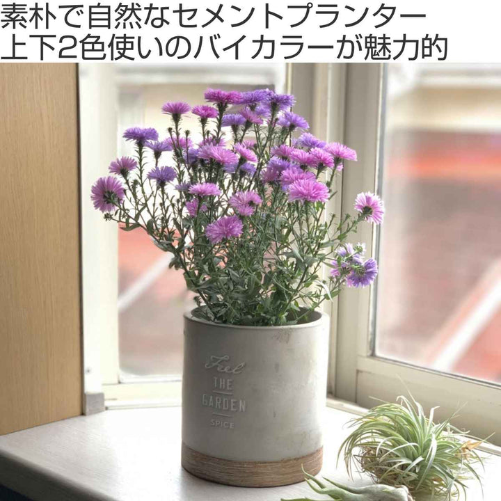 植木鉢 FEEL THE GARDEN セメントプランター ラウンド L -3