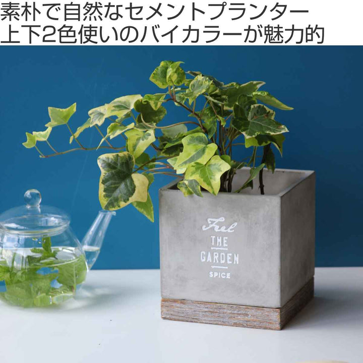 植木鉢 FEEL THE GARDEN セメントプランター スクエア S -3