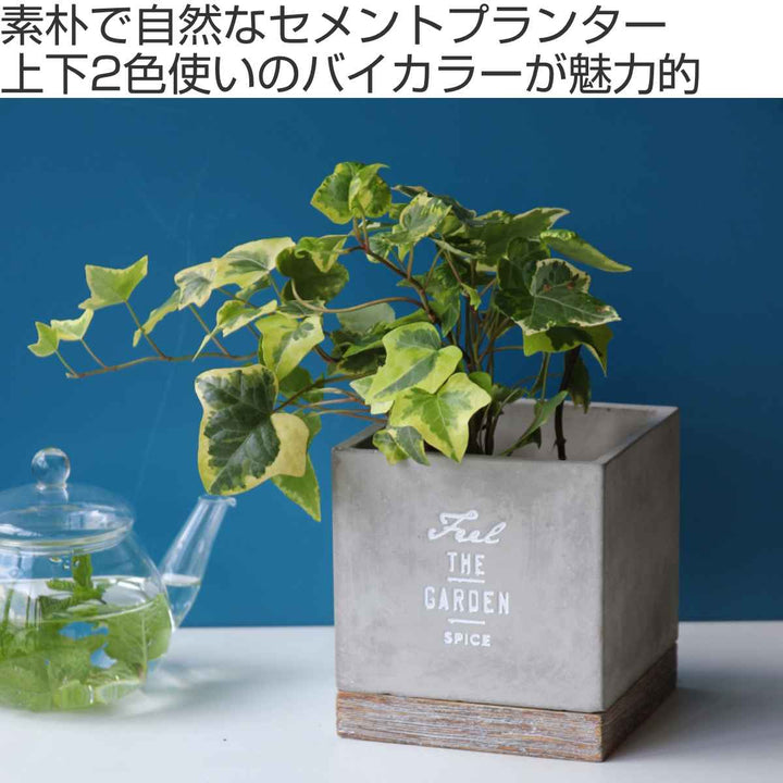 植木鉢 FEEL THE GARDEN セメントプランター スクエア L -3