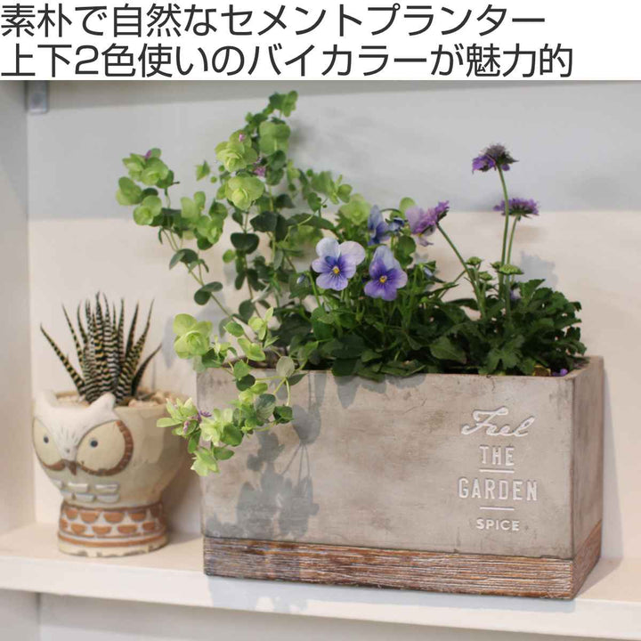 プランター FEEL THE GARDEN セメントプランター レクト L -3