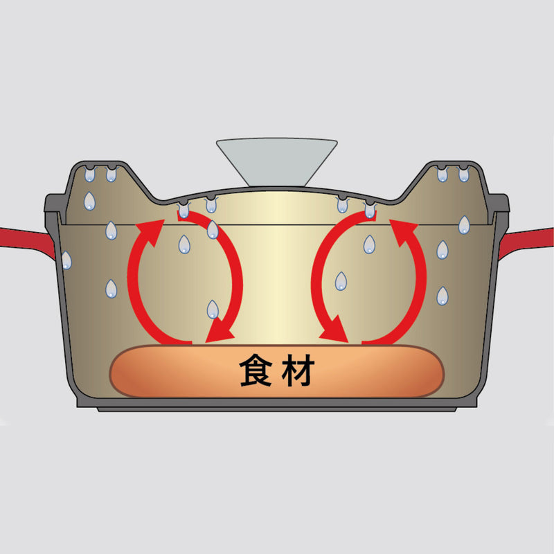D＆S 両手鍋 20cm IH対応 ウォーターレスキャセロール 無水調理ができる鍋