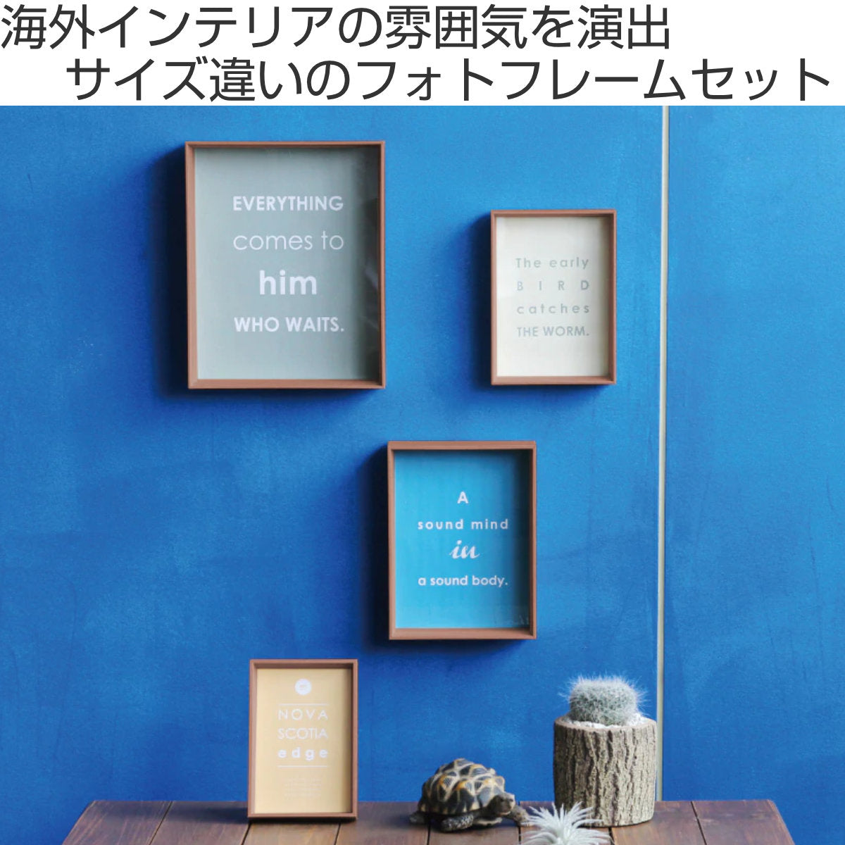 400052_1.jpg?v=1664253487&