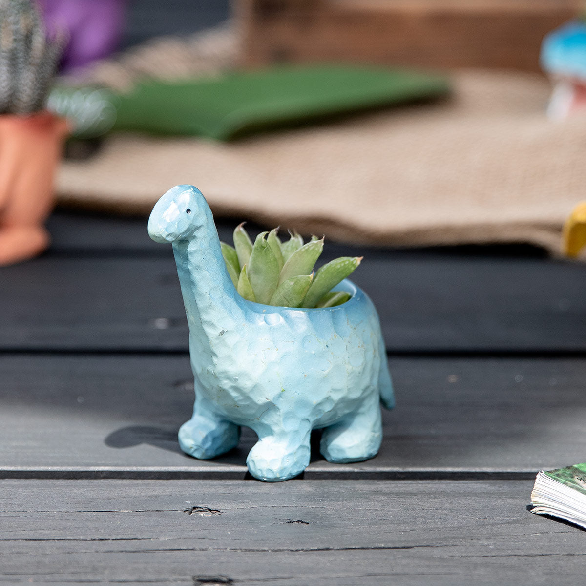 401369.jpg?v=1664254009&width=720