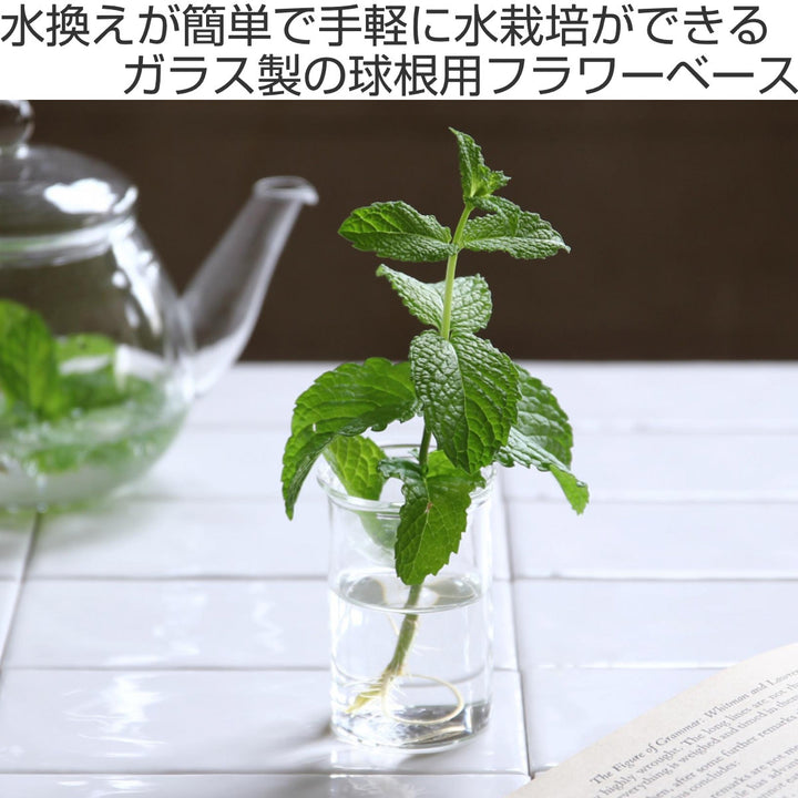 花瓶 MINI BULB VASE 水栽培ガラスベース クリア 7cm -3