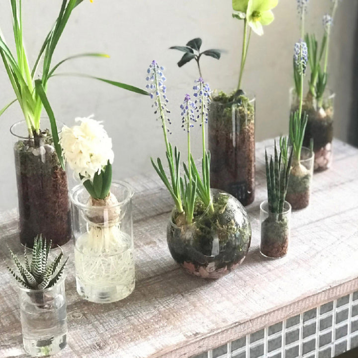 花瓶 MINI BULB VASE 水栽培ガラスベース クリア 7cm -13