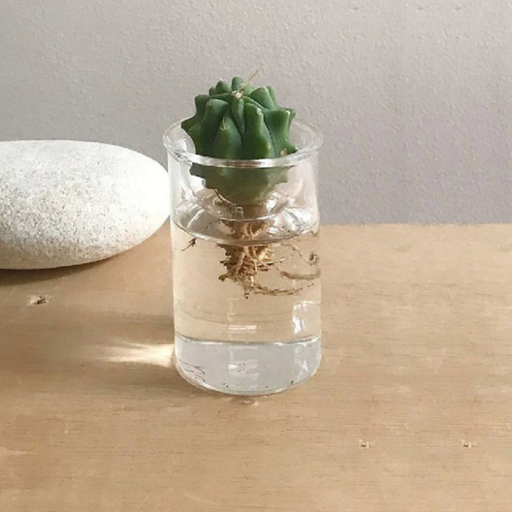 花瓶 MINI BULB VASE 水栽培ガラスベース クリア 7cm -5