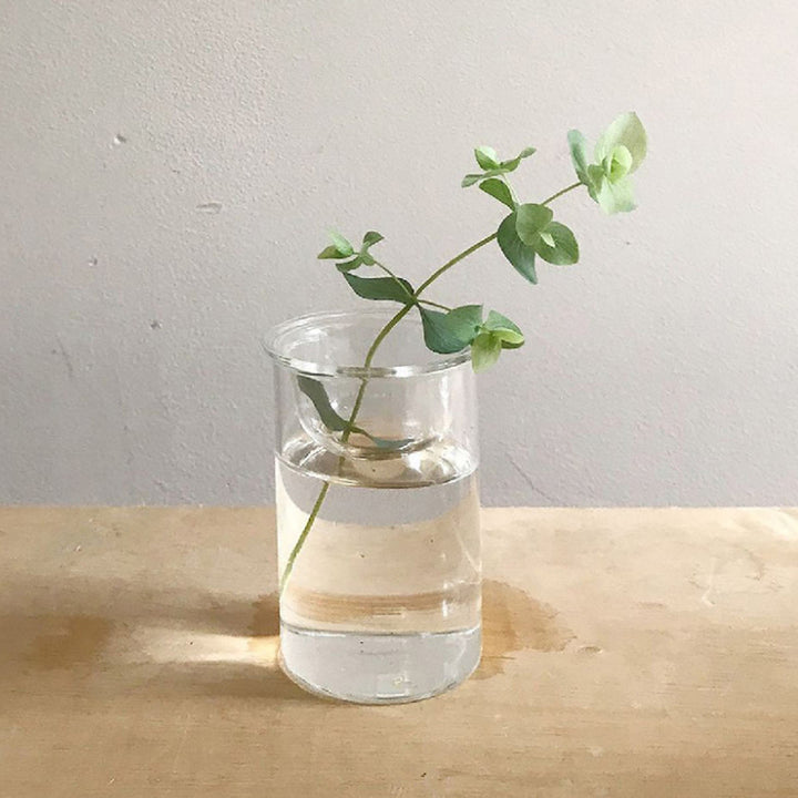 花瓶 MINI BULB VASE 水栽培ガラスベース クリア 8.5cm -5