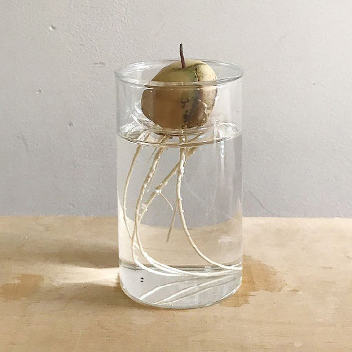 花瓶 MINI BULB VASE 水栽培ガラスベース クリア 11cm -2