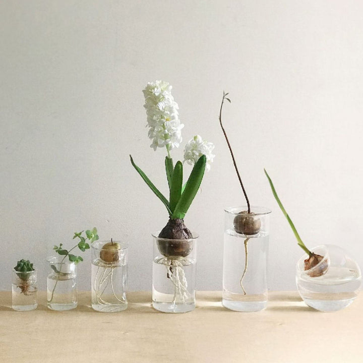 花瓶 BULB VASE 水栽培ガラスベース クリア ショート -15