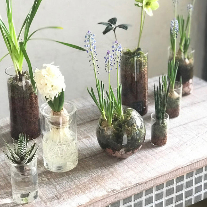 花瓶 BULB VASE 水栽培ガラスベース クリア ショート -18