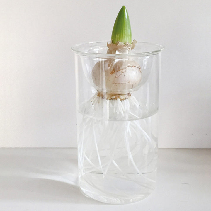 花瓶 BULB VASE 水栽培ガラスベース クリア ショート -7