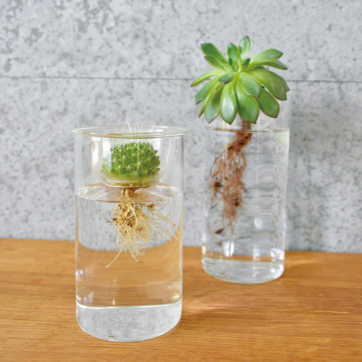 花瓶 BULB VASE 水栽培ガラスベース クリア ショート -9