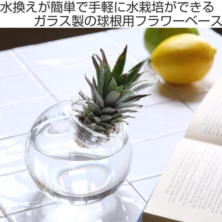 花瓶 BULB VASE 水栽培ガラスベース クリア ラウンドドーム -3