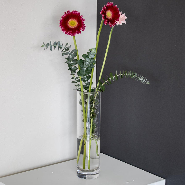 花瓶 PVシリンダー 直径8×高さ30cm -12