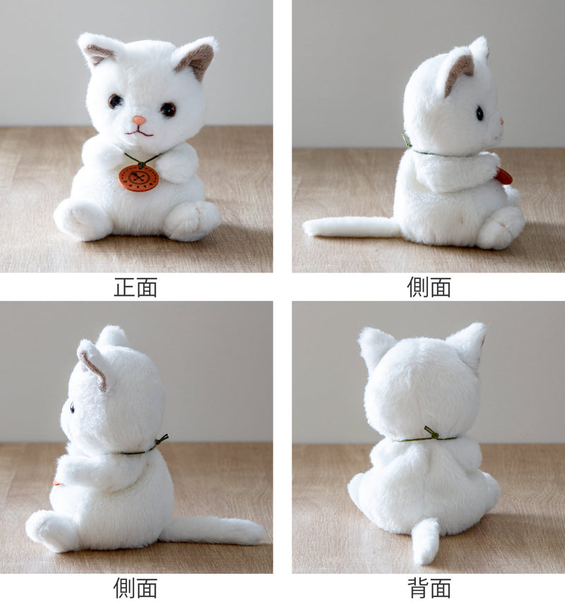 ぬいぐるみ potte 白猫 猫 -3