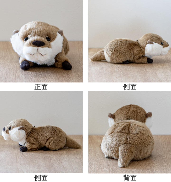 ぬいぐるみ potte カワウソ -3