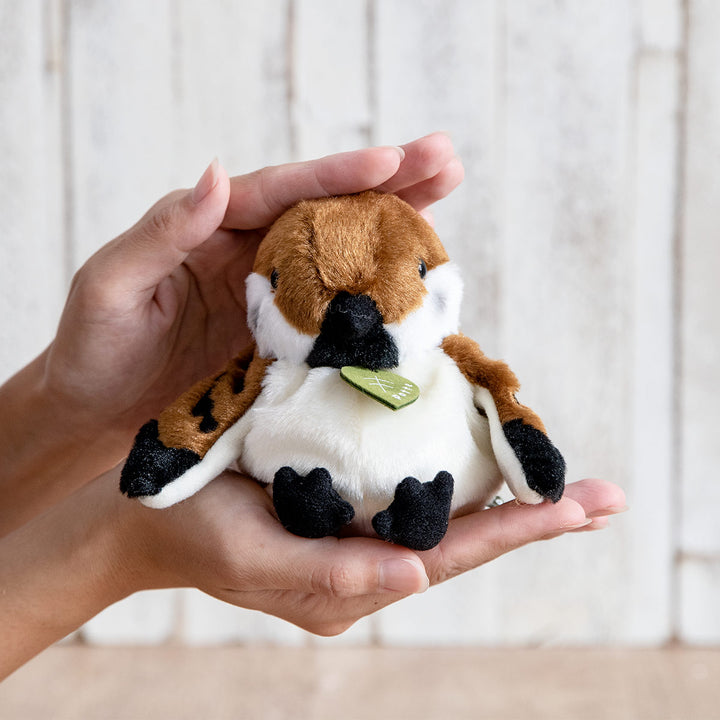 ぬいぐるみ potte スズメ -8