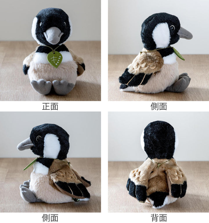 ぬいぐるみ potte シジュウカラガン -3